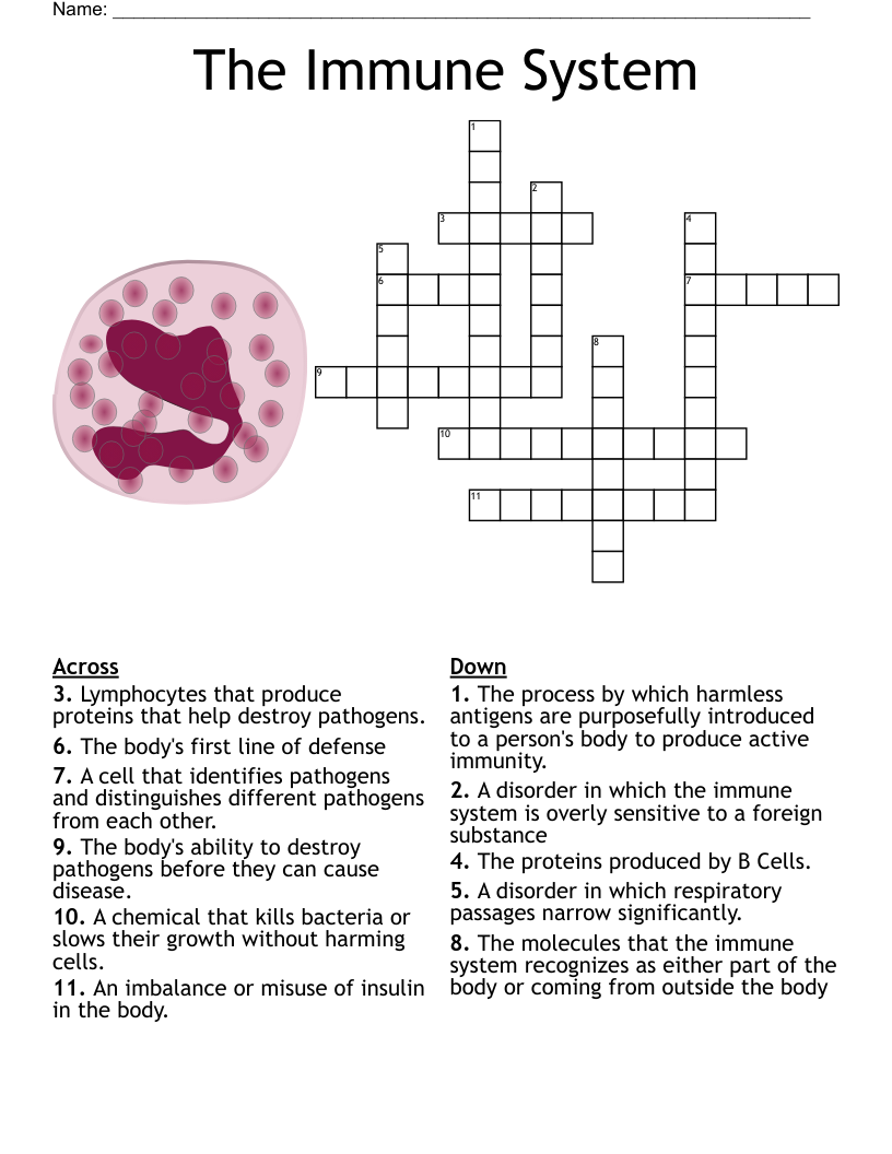 The Immune System Crossword