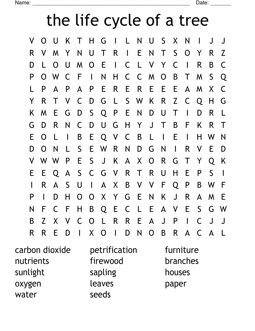 the life cycle of a tree Word Search