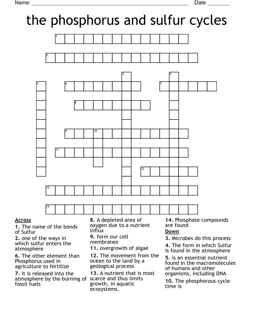 the phosphorus and sulfur cycles Crossword