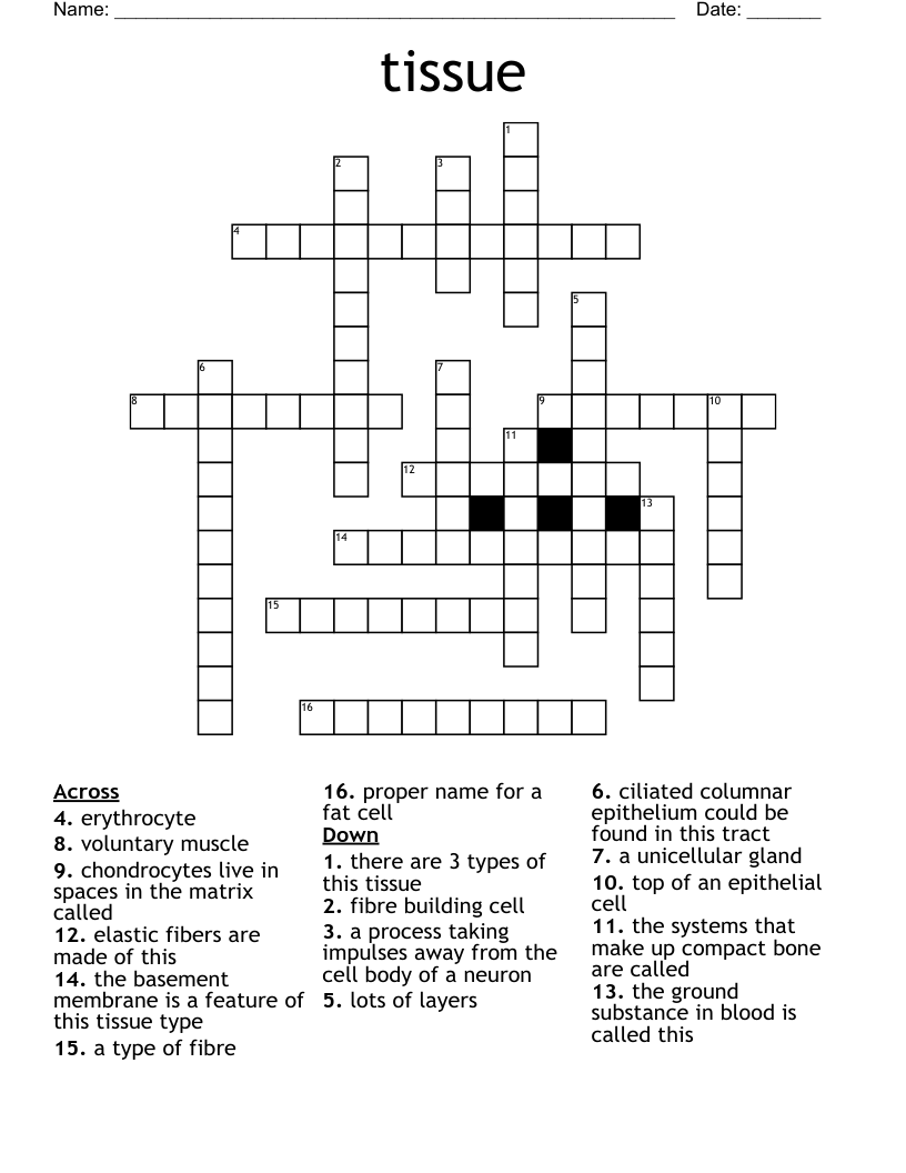 tissue Crossword