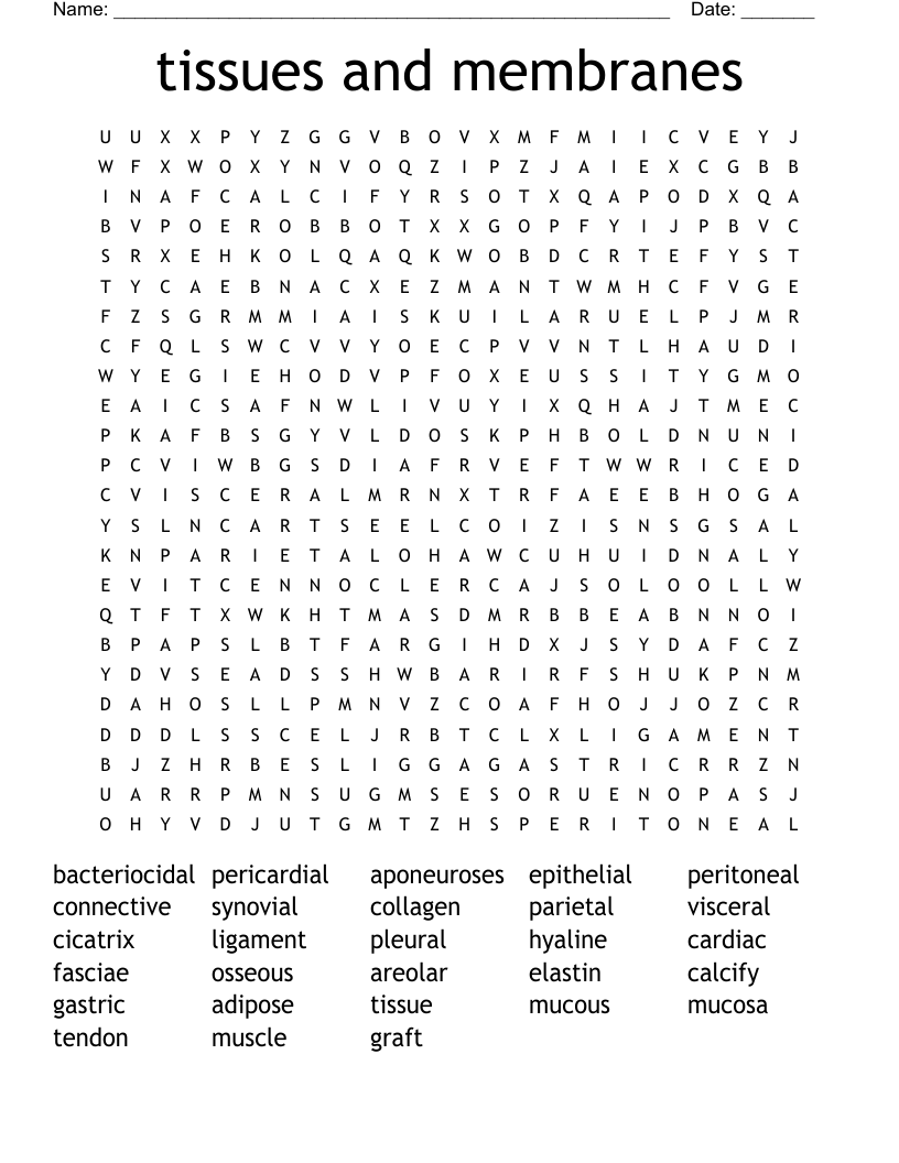 tissues and membranes Word Search