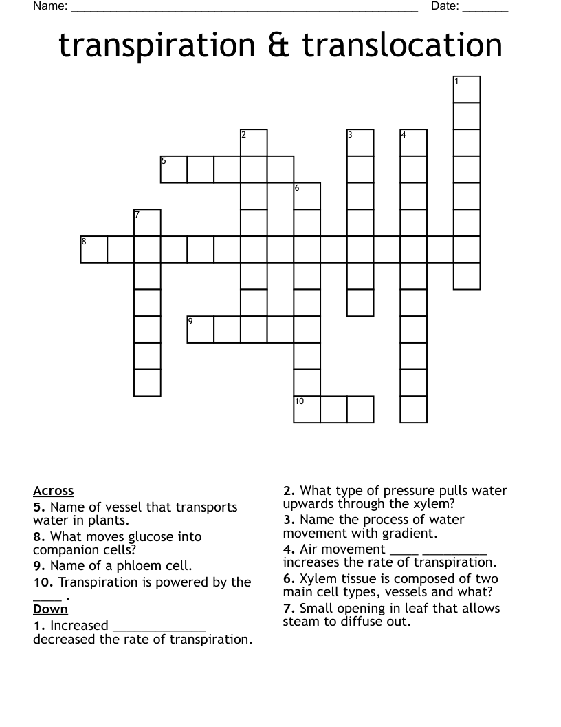 transpiration & translocation Crossword