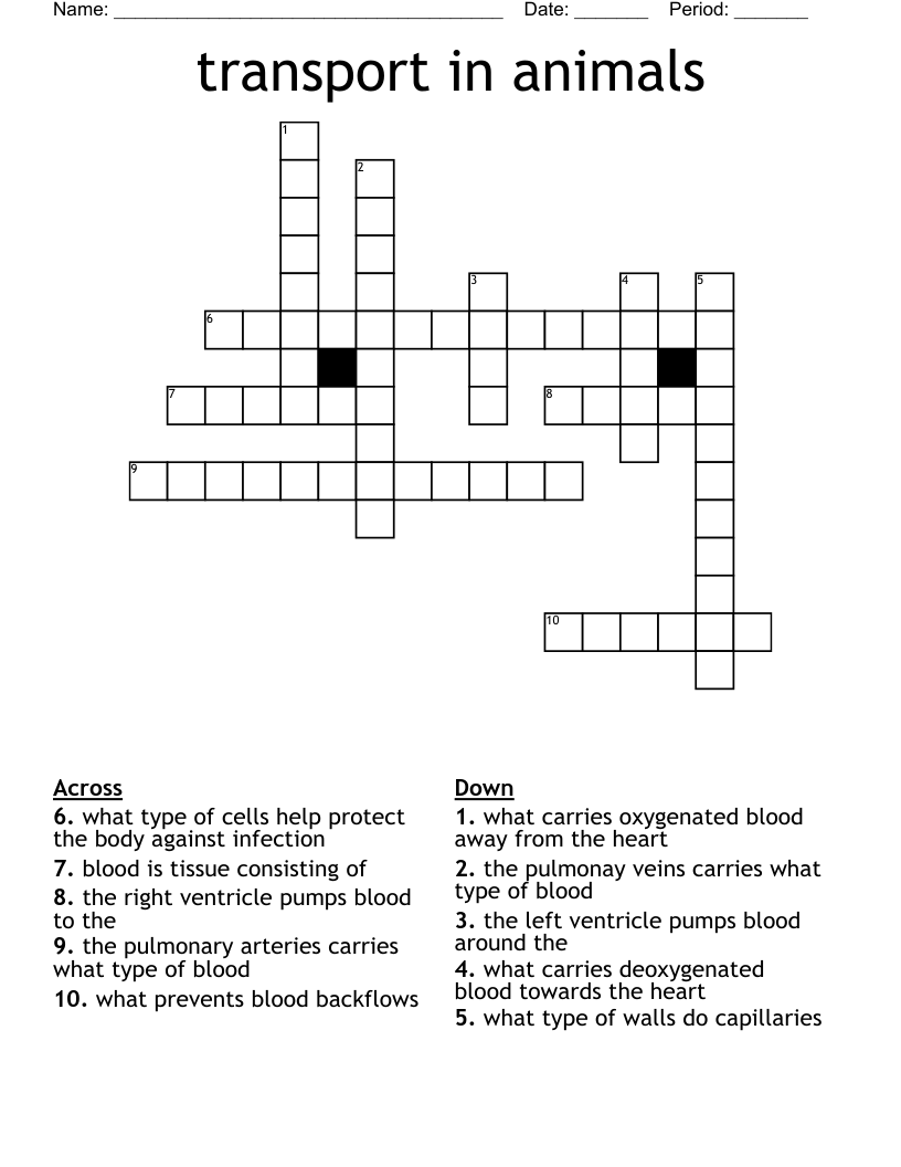 transport in animals Crossword