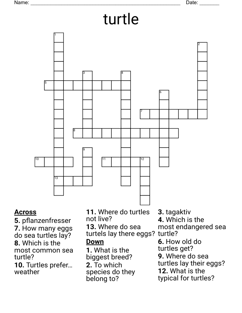 turtle Crossword