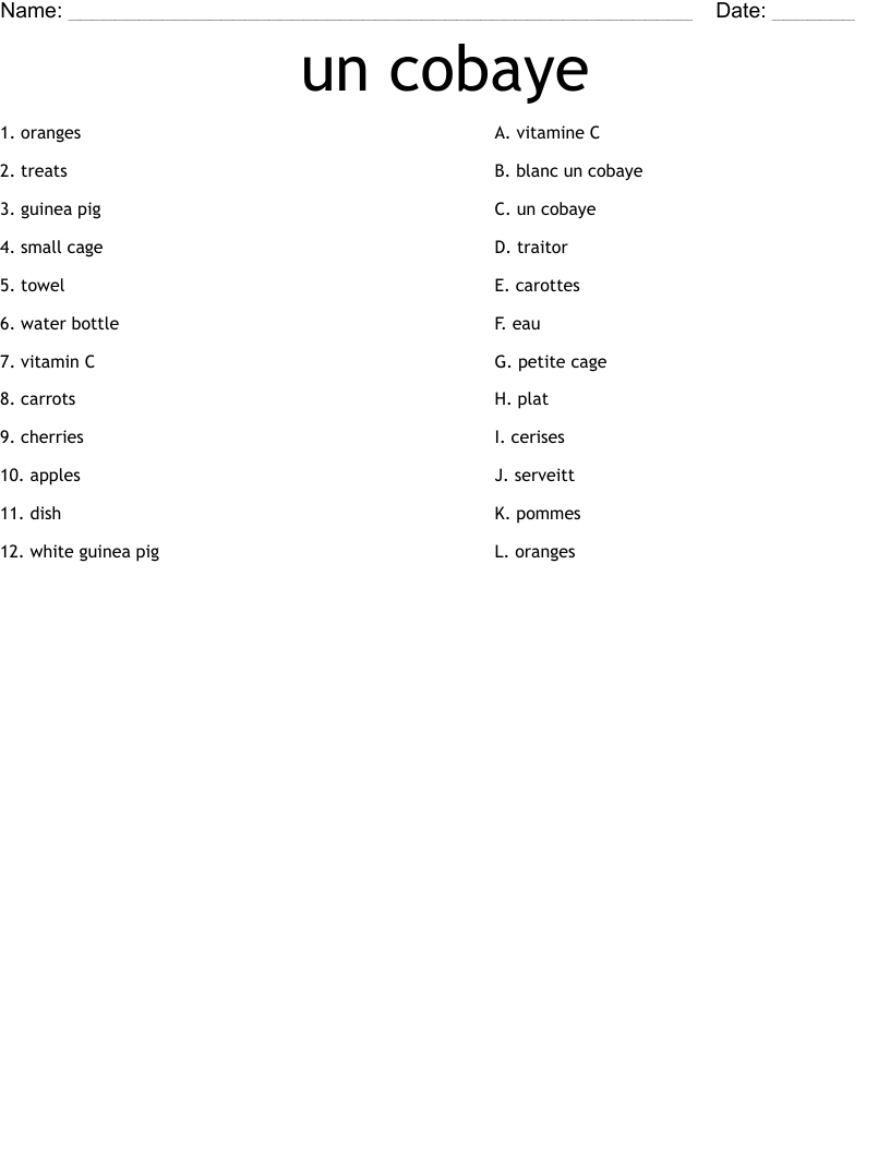 un cobaye Worksheet
