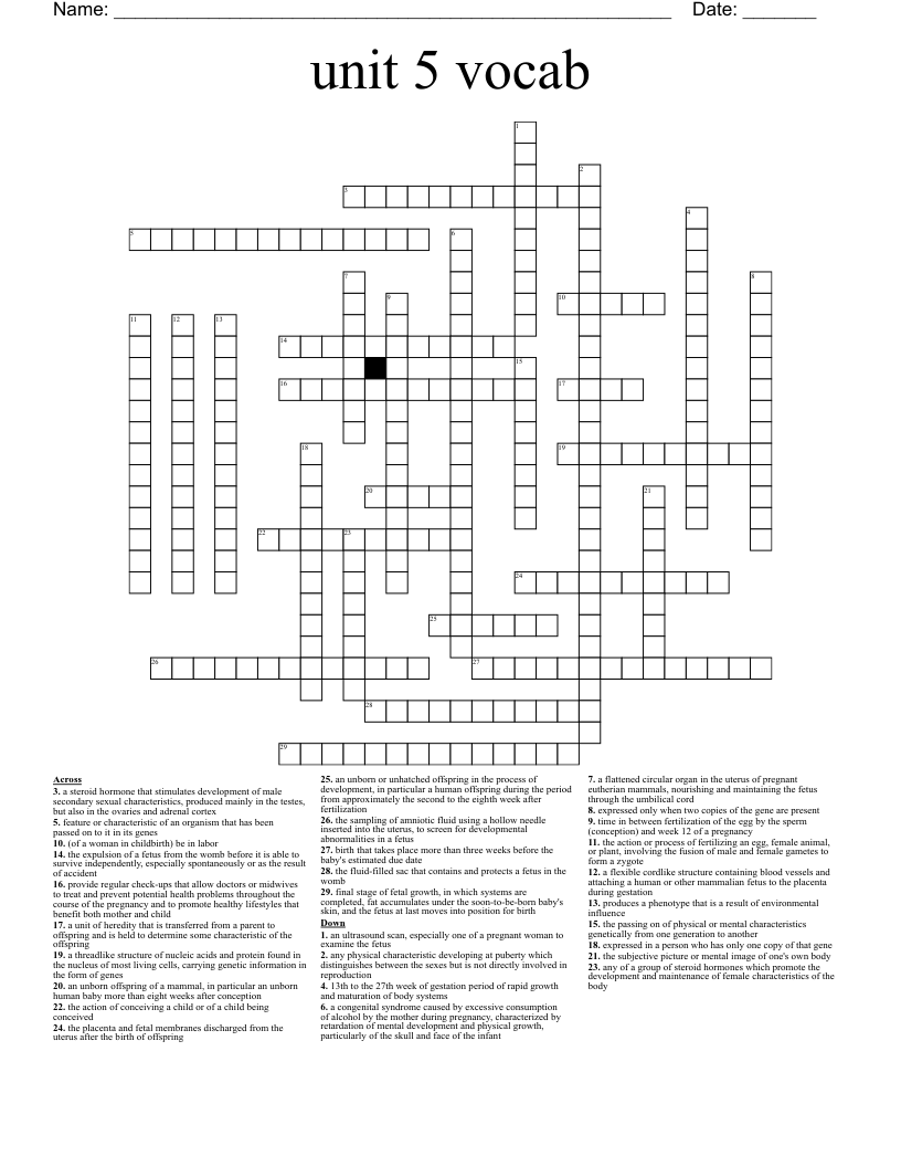 unit 5 vocab Crossword