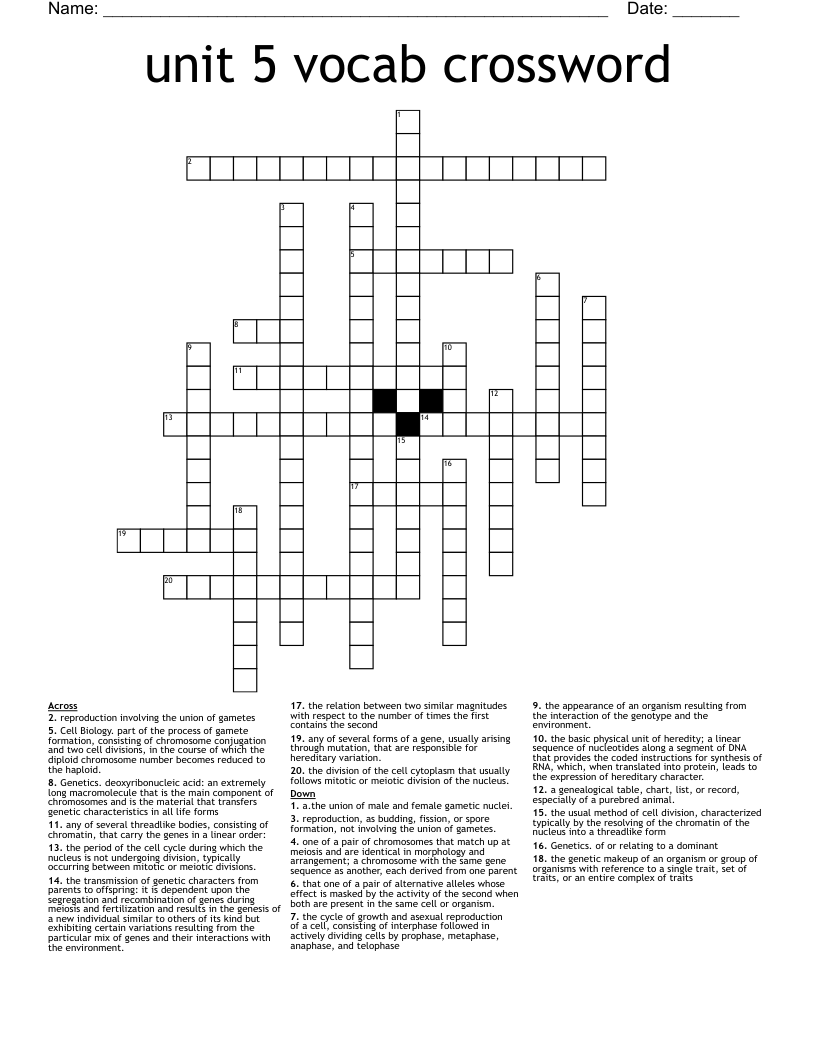 unit 5 vocab crossword