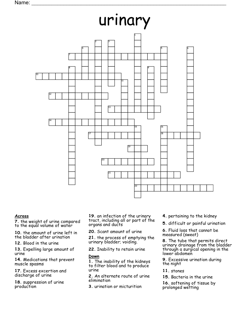 urinary Crossword