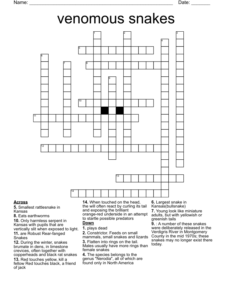 venomous snakes Crossword
