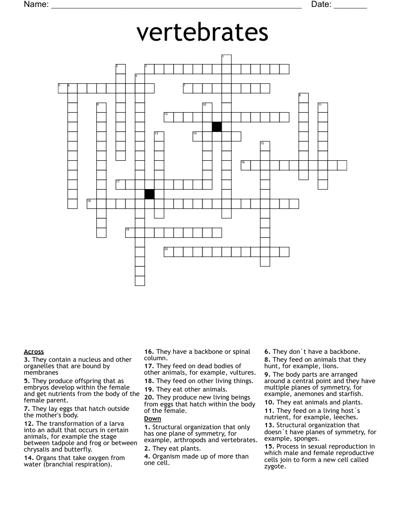 vertebrates Crossword