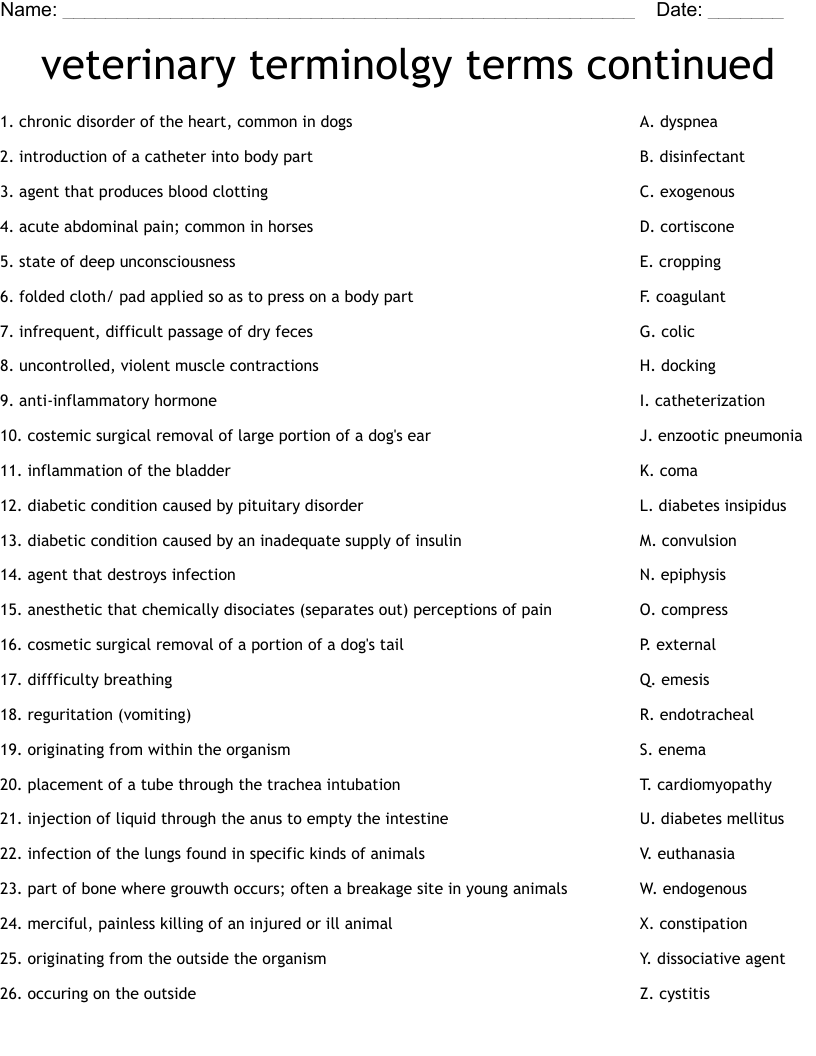 veterinary terminolgy terms continued