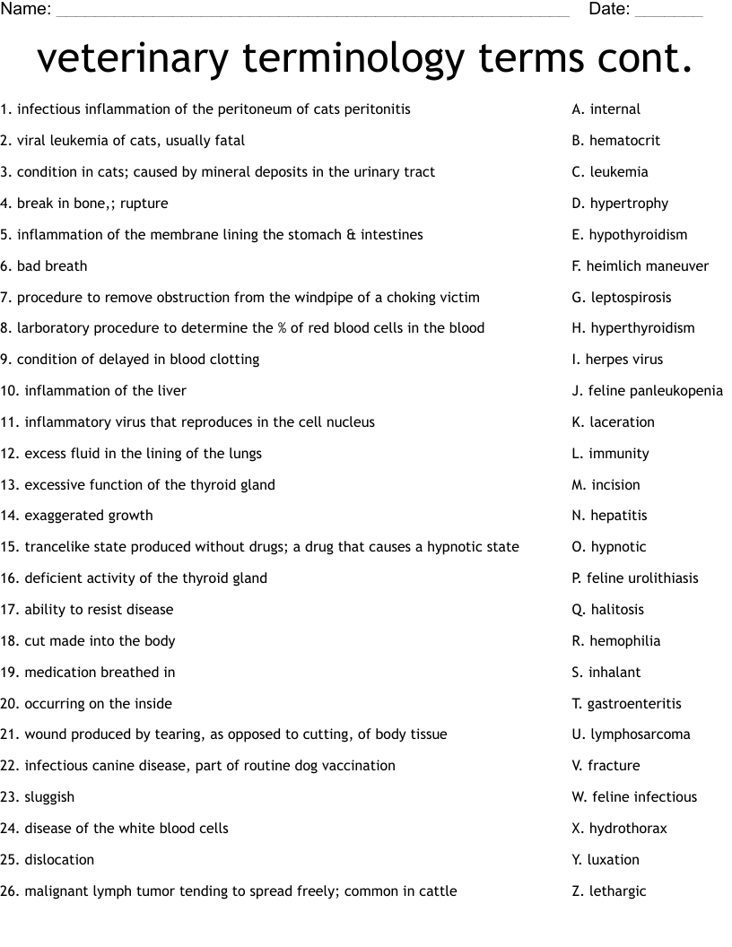 veterinary terminology terms cont. Worksheet