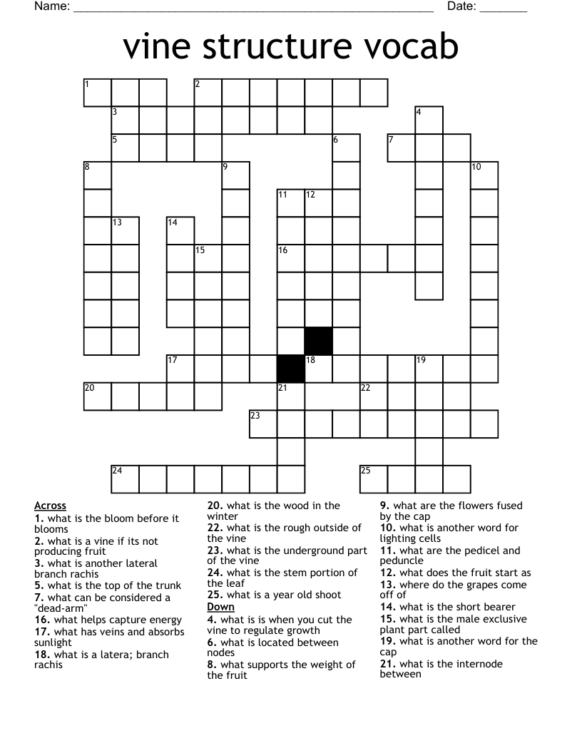 vine structure vocab Crossword