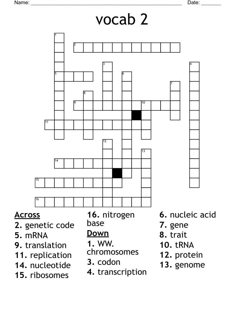 vocab 2 Crossword