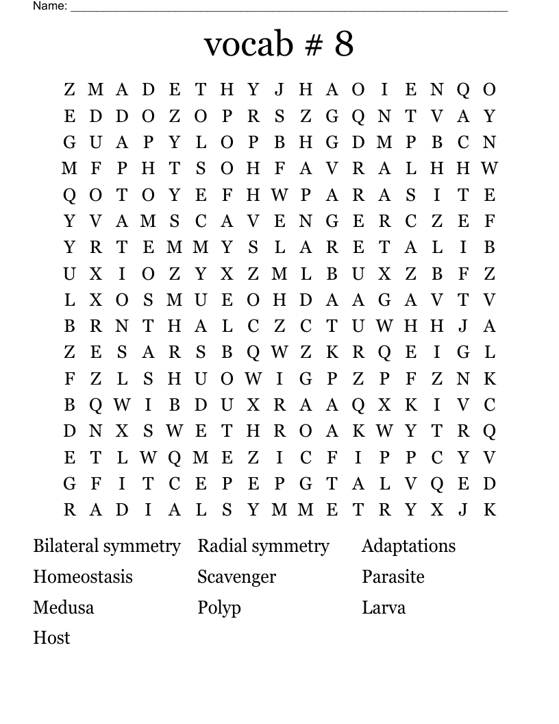 vocab # 8 Word Search