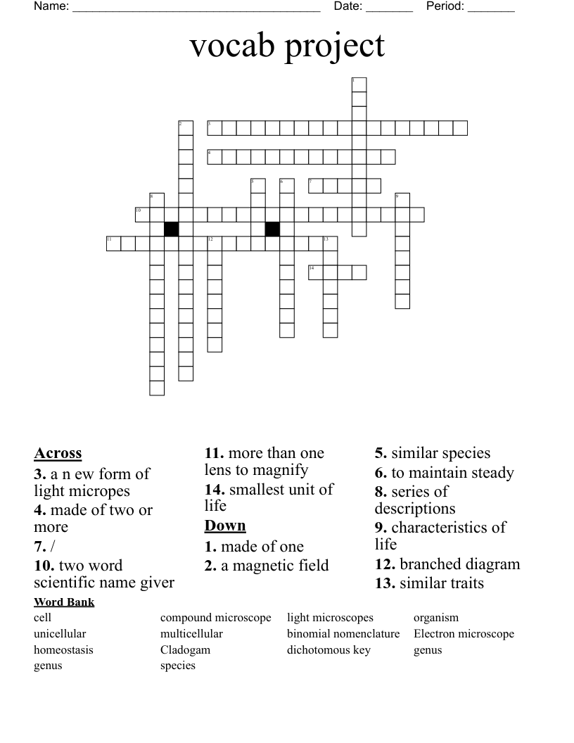 vocab project Crossword