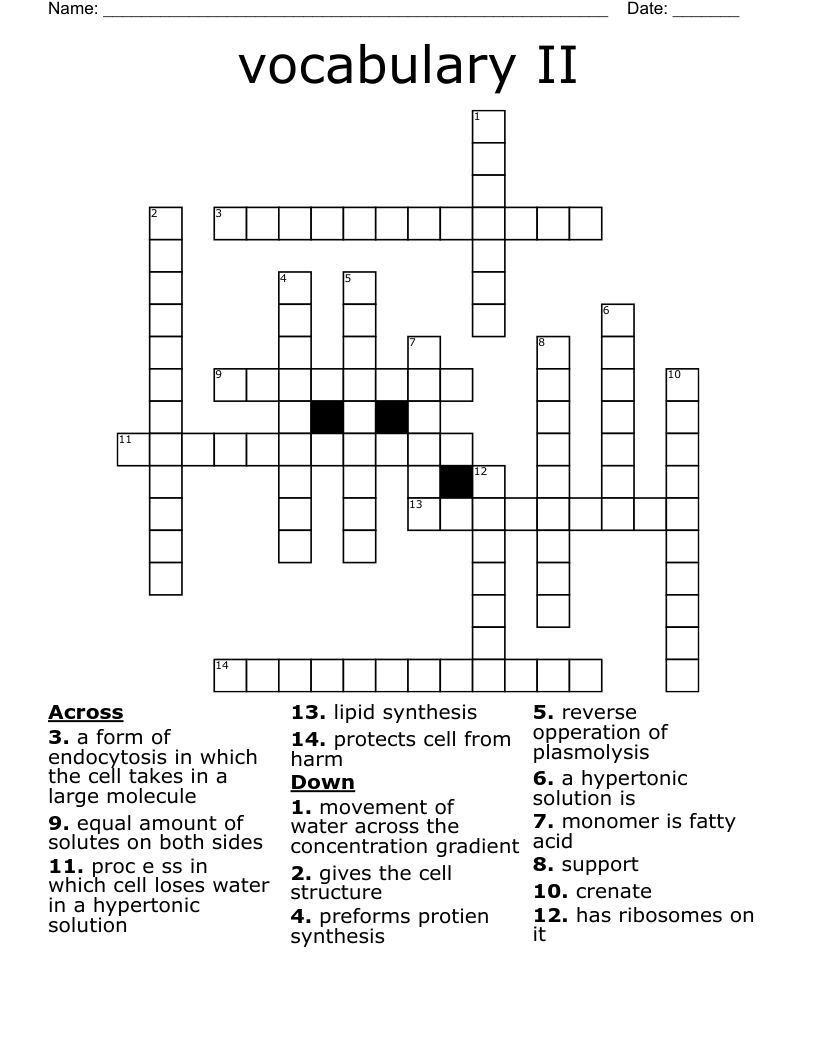 vocabulary II Crossword