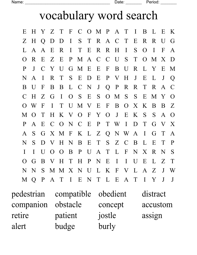 vocabulary  word search 