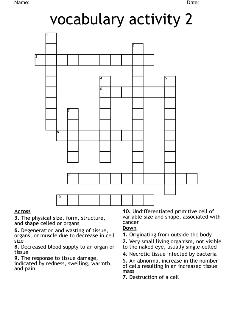 vocabulary activity 2 Crossword