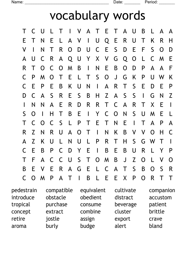 vocabulary words        Word Search