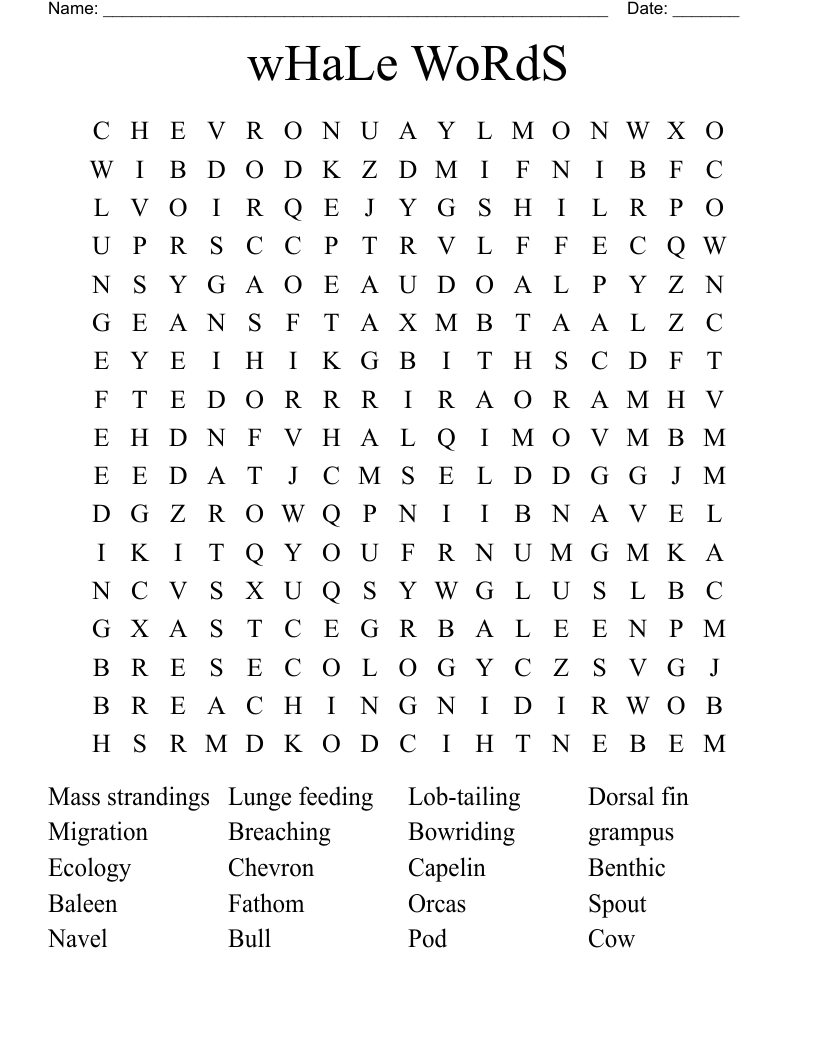 wHaLe WoRdS Word Search