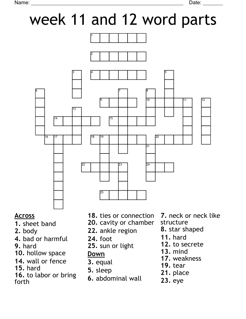 week 11 and 12 word parts  Crossword