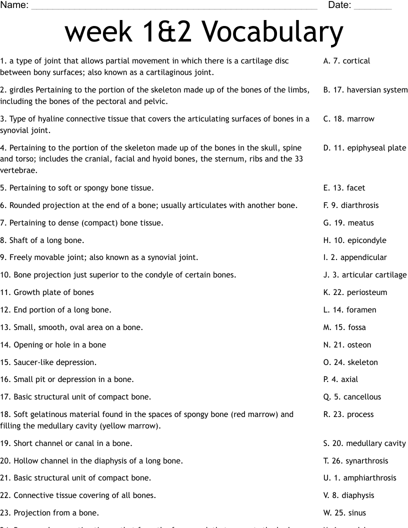 week 1&2 Vocabulary  Worksheet