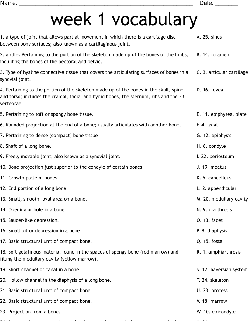 week 1 vocabulary Worksheet