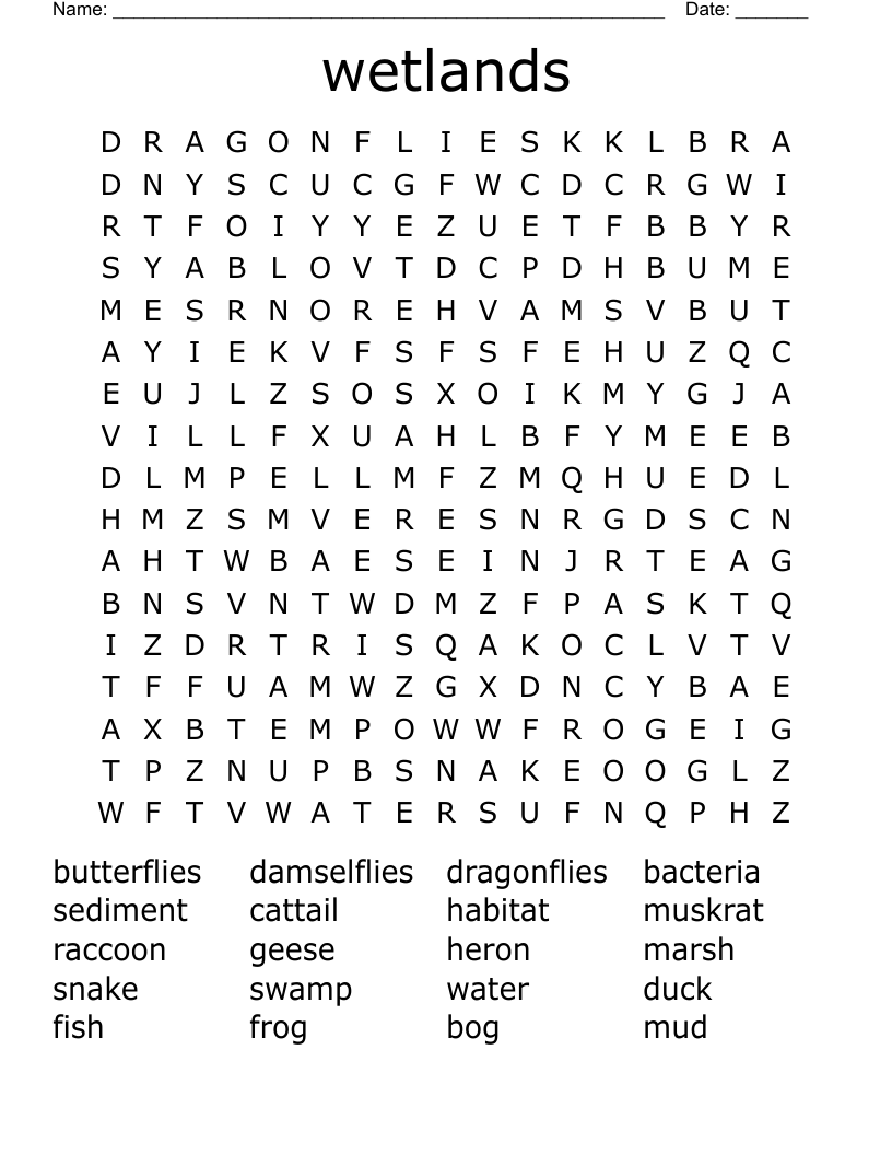 wetlands Word Search