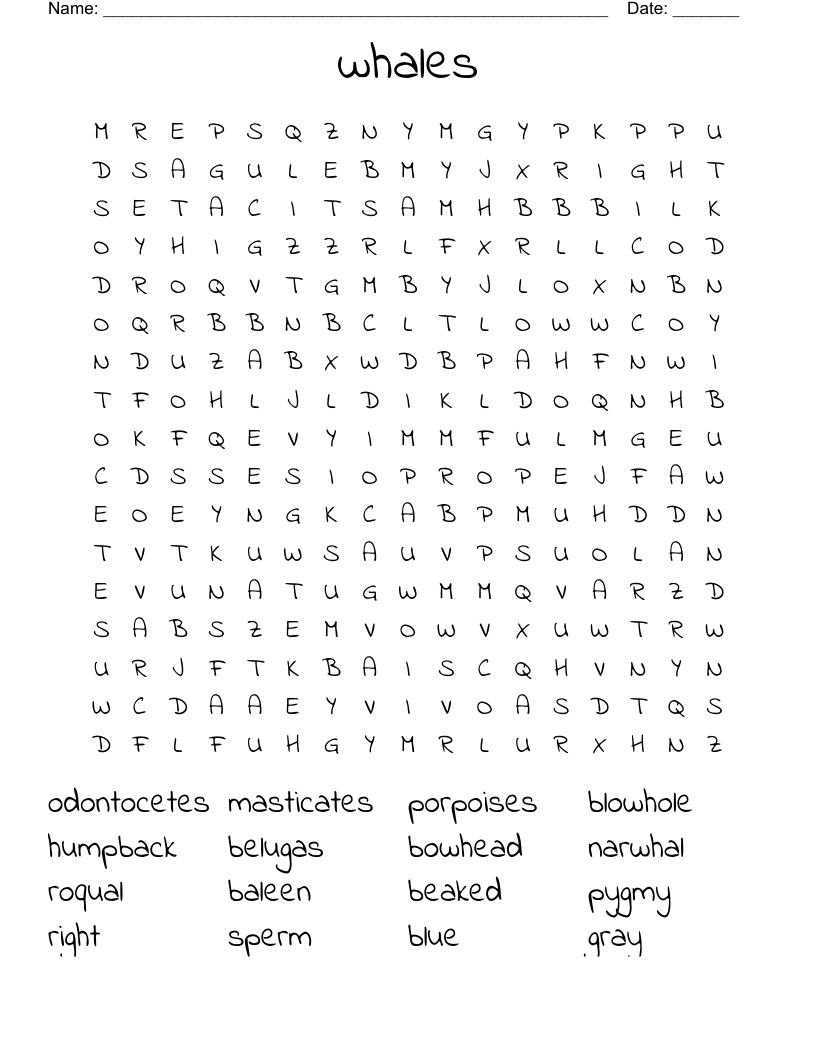 whales  Word Search