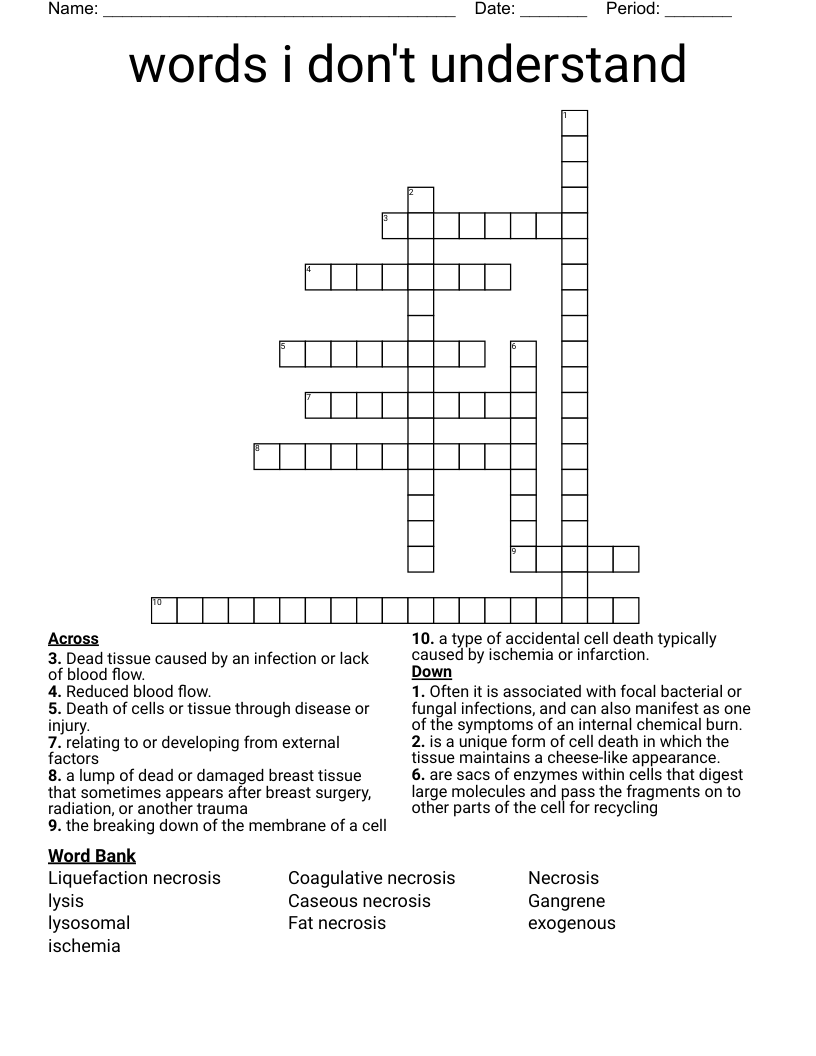 words i don't understand  Crossword