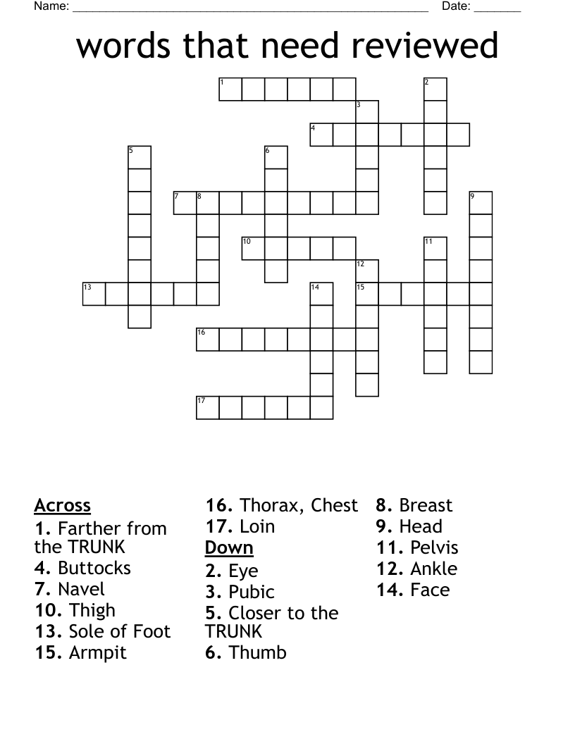 words that need reviewed Crossword
