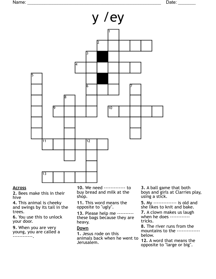 y /ey Crossword