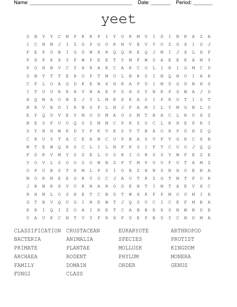 yeet Word Search
