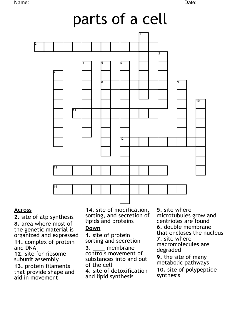 parts of a cell Crossword