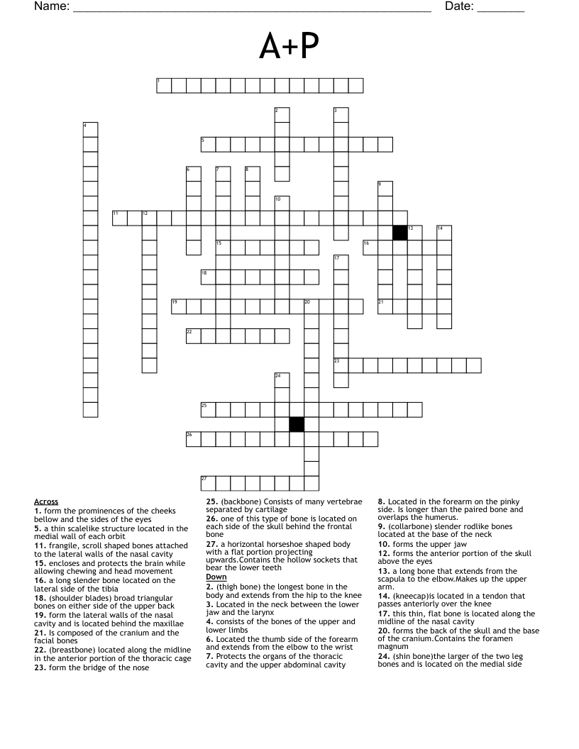 A+P Crossword