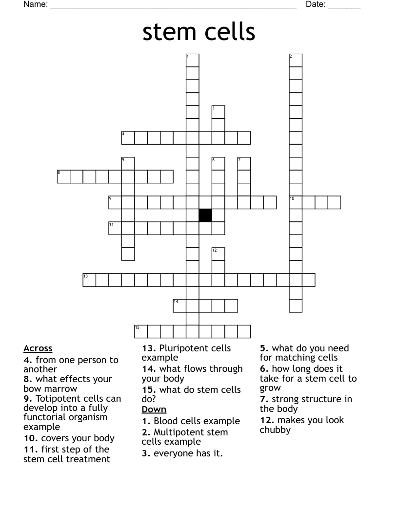 stem cells  Crossword