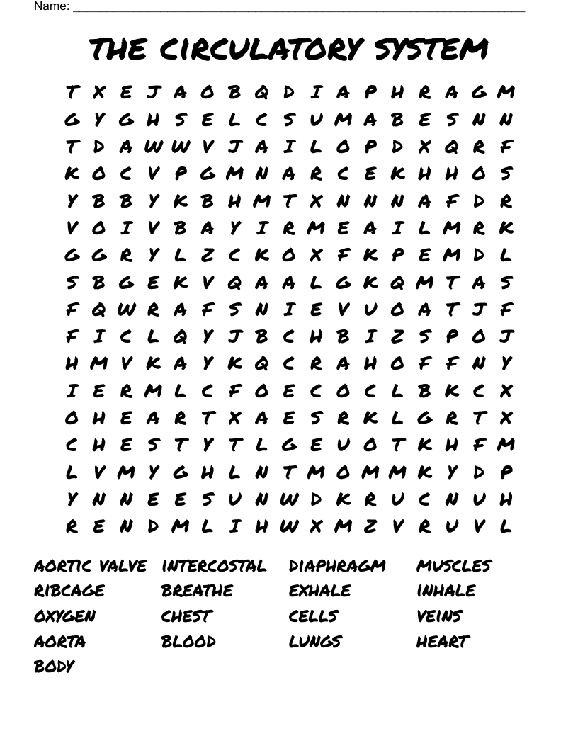 the circulatory system  Word Search